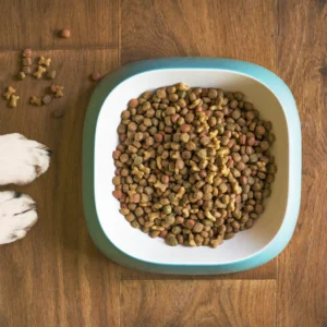 Alimento para perros